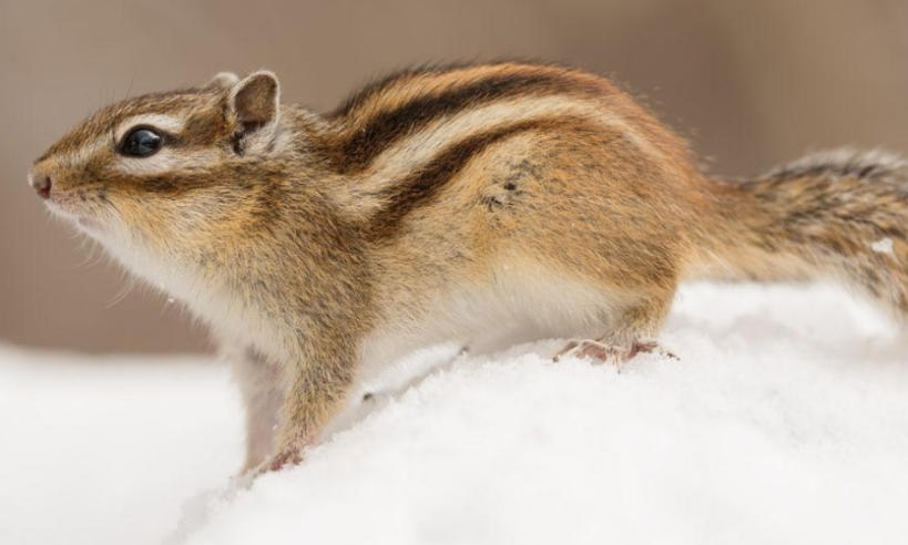 北京京盛鸿发商贸中心轮播图1
