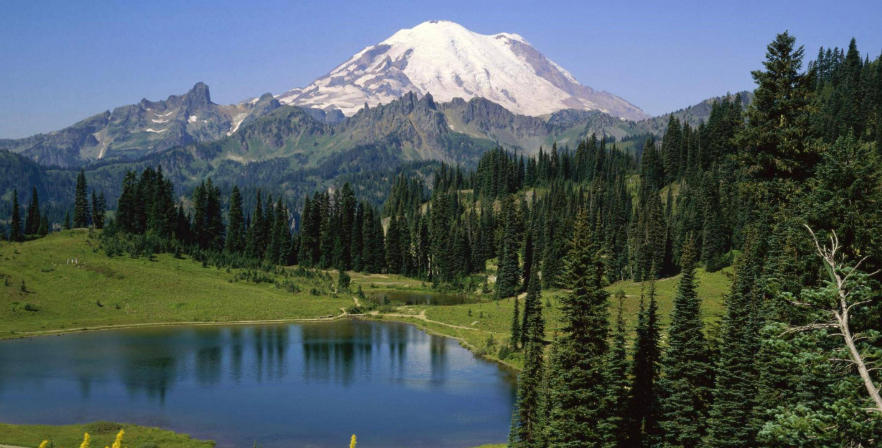 北京京盛鸿发商贸中心轮播图4