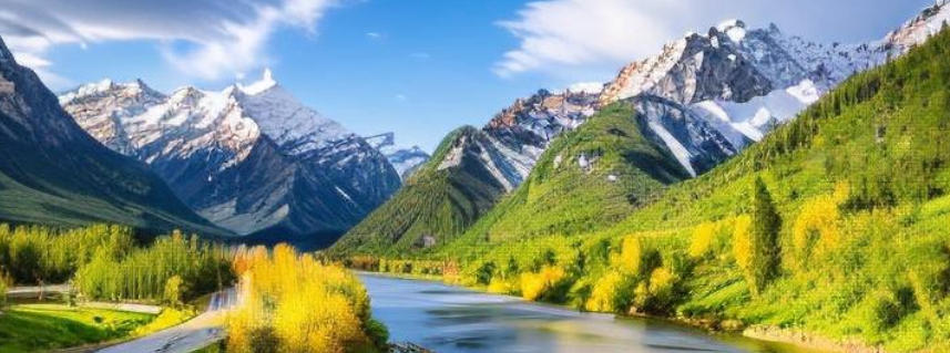 北京京盛鸿发商贸中心轮播图4